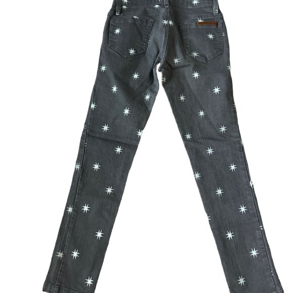 SASS & BIDE Starburst Playman Gray Skinny Jeans Size 26 - Picture 2 of 7